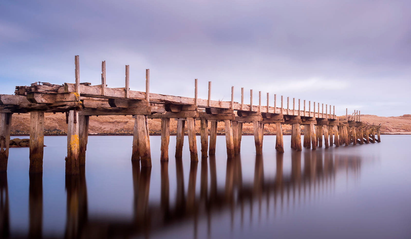Image of people on the Peace Bridge, Derry, Ireland