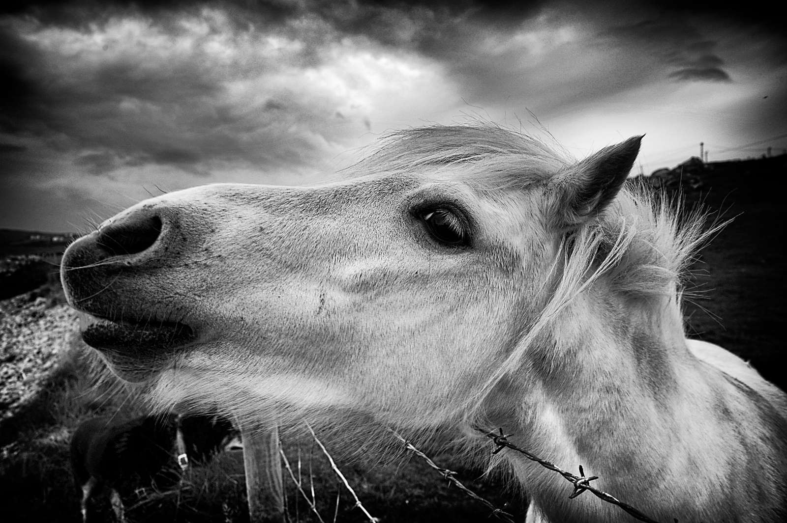Photo of the rocks and seaweed at Dunree Beach