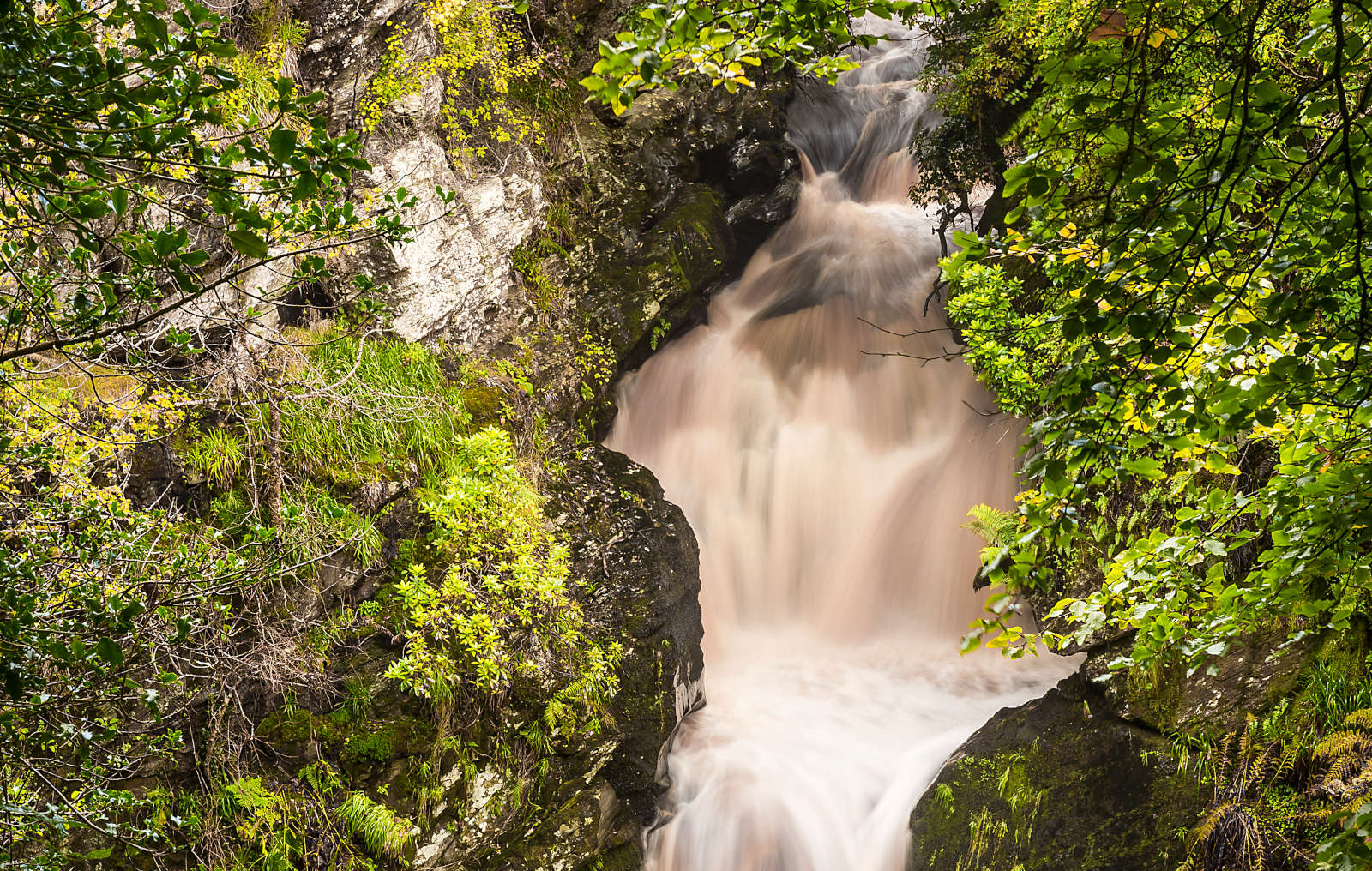 Image of people on the Peace Bridge, Derry, Ireland
